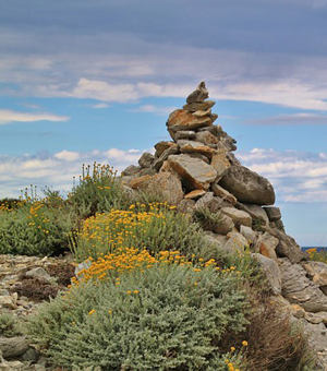 充值市场可靠的在线轰炸电话网页版