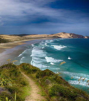 呼叫软件天天呼